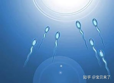 供卵试管婴儿是否适用于45岁以上的夫妇
