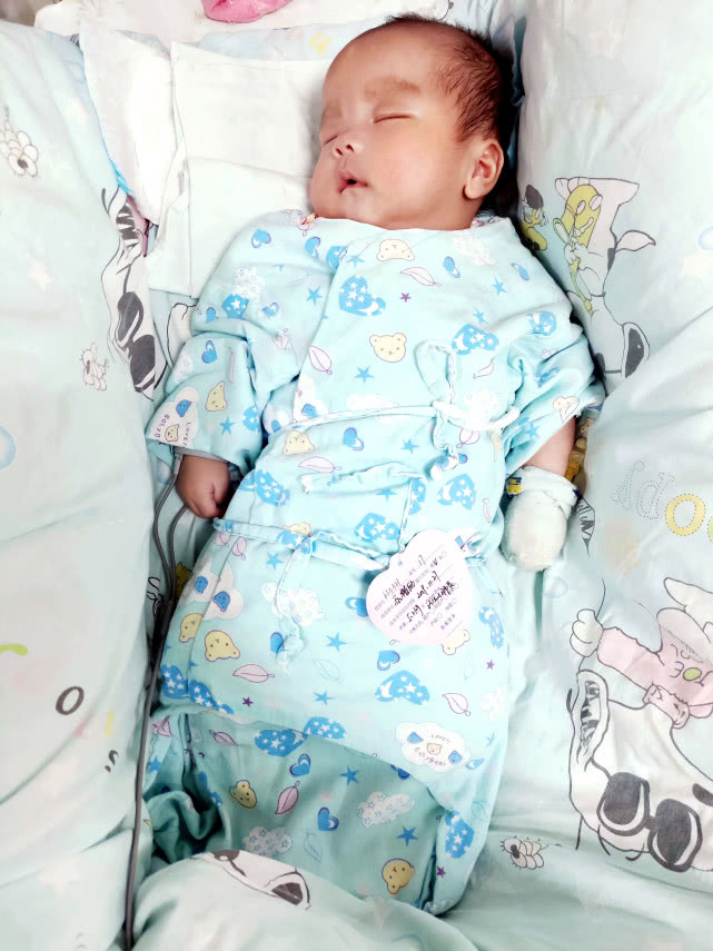 揭秘：赠卵试管婴儿囊胚解冻和移植的全过程，解冻和移植的步骤在这里