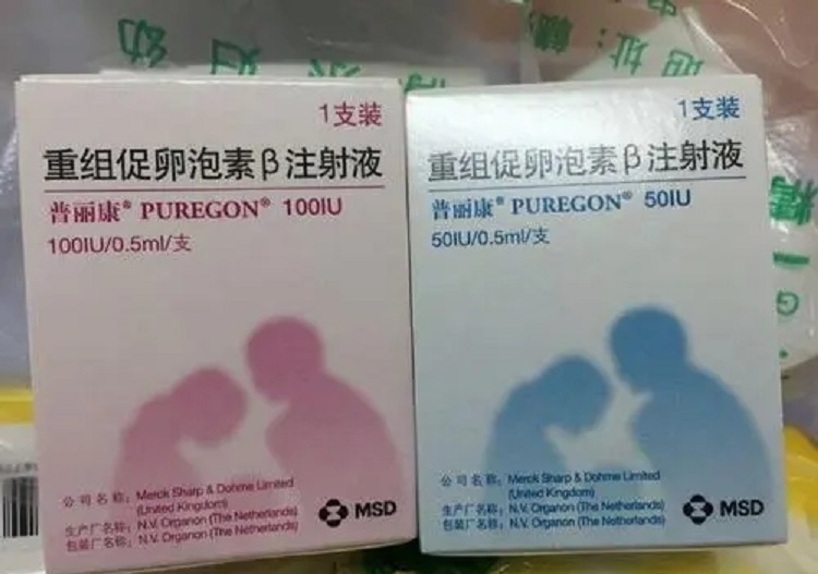 广东哪个医院做赠卵试管自怀供卵不成功可以退钱？