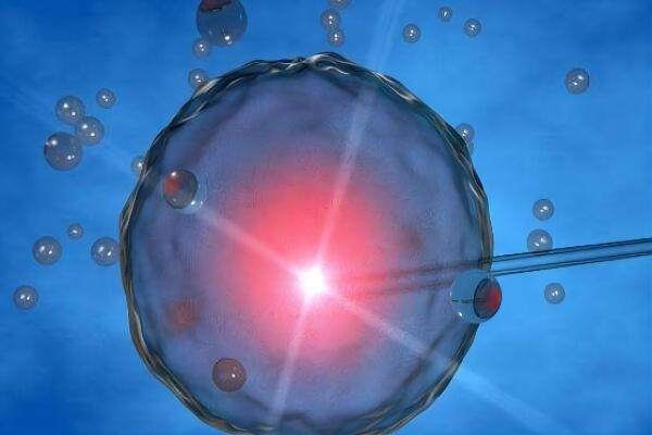 做借卵自怀做供卵试管短方案进周时间非要在月经第二天吗