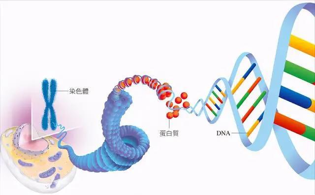 长春市借卵试管婴儿哪家医院好