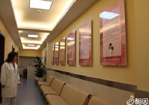 吉林长春202医院做借卵试管婴儿怎么样