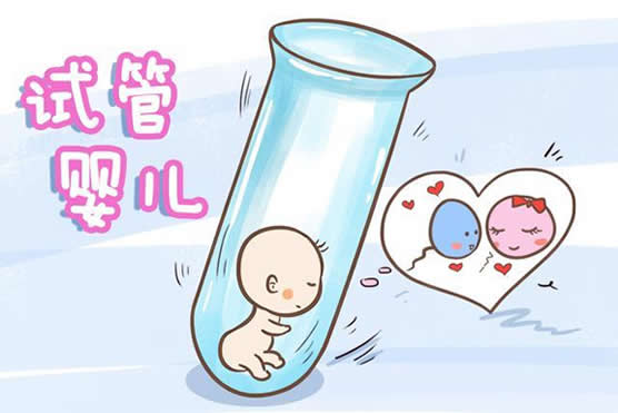 吉林长春省立医院做试管多少钱