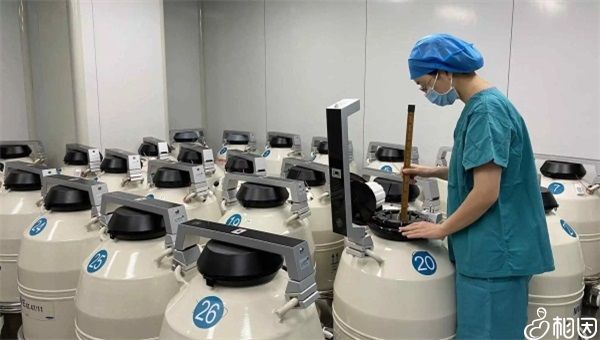 有用吉林长春女孩供卵的吗