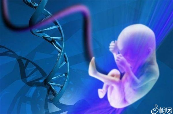 助孕代生试管是怎么受孕的+