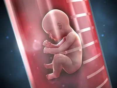 吉林省妇幼做未婚男试管代怀的总花费大概是多少