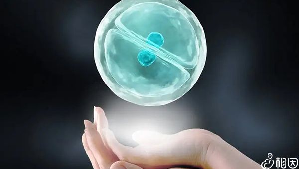 哈医大二院助孕高端机构介绍